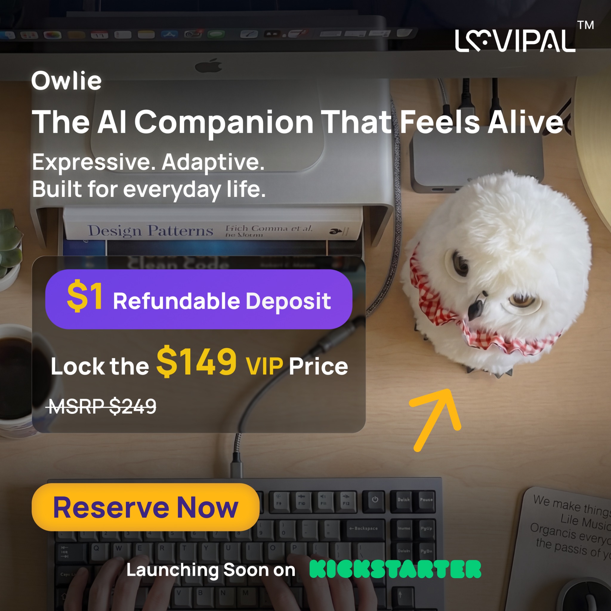 Owlie Facebook ad