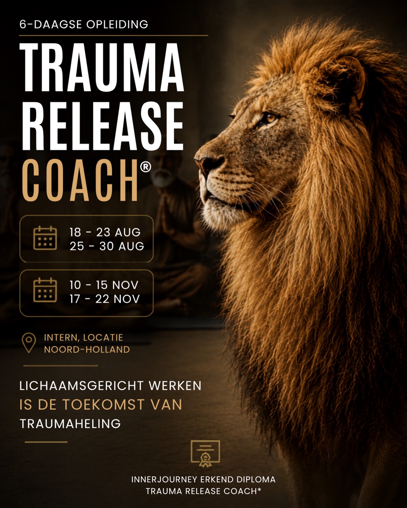 Inner-journey Trauma Release & Breathwork Facebook ad: 6 daagse opleiding Trauma Release Coach - Inner Journey