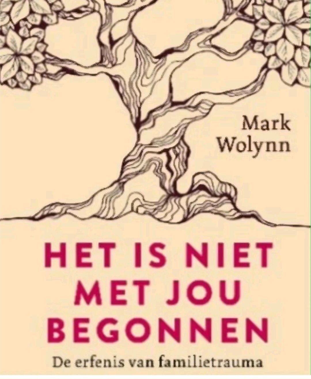 EVBalans Facebook ad: Familietrauma’s: welke patronen draag jij onbewust mee?