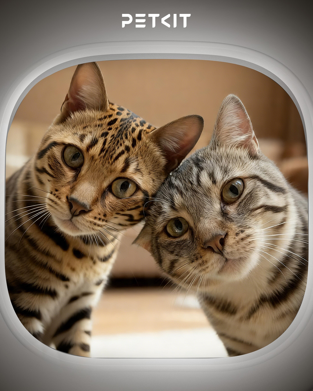 Petkit US Facebook ad