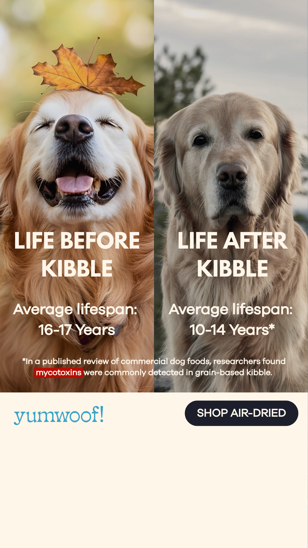 Yumwoof Natural Pet Food Facebook ad
