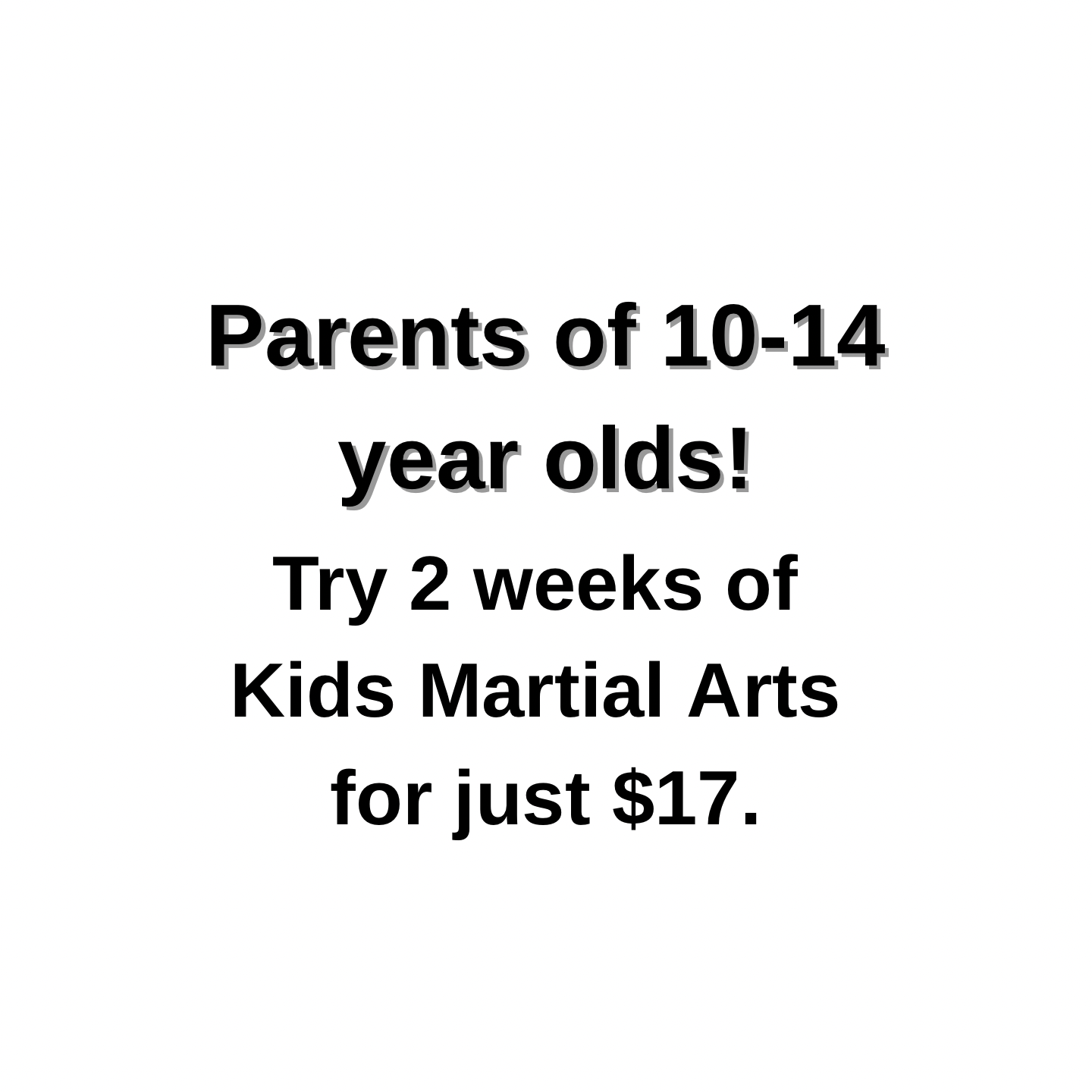 Vision Martial Arts Academy Facebook ad