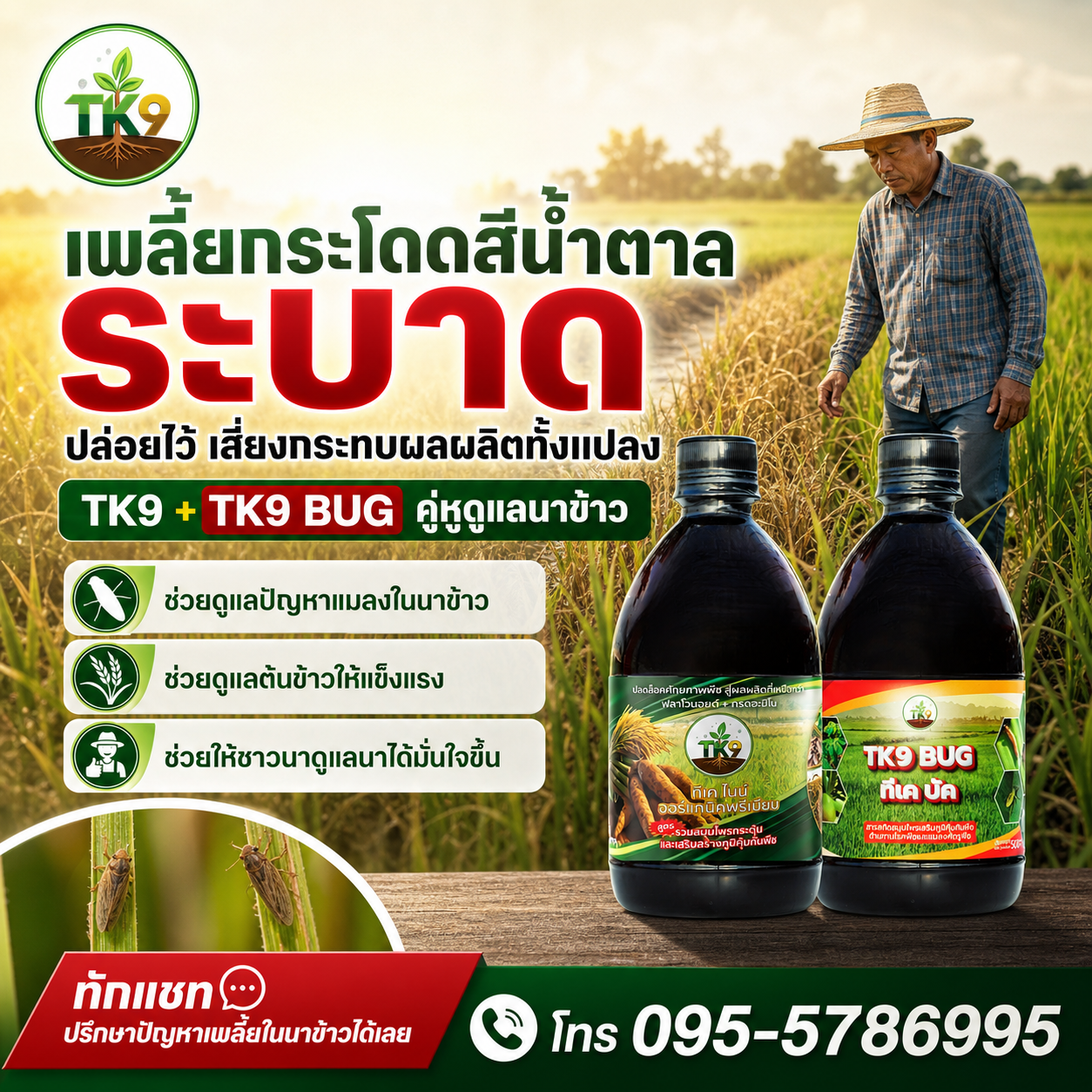 Tk9 นวัตกรรมสารสกัด เพิ่มผลผลิต เร่งโต เสริมสร้างภูมิคุ้มกันพืชในขวดเดียว Facebook ad: ข้าวเหลืองเป็นหย่อม ๆ อาจมีเพลี้ยกวน โทร 095-5786995