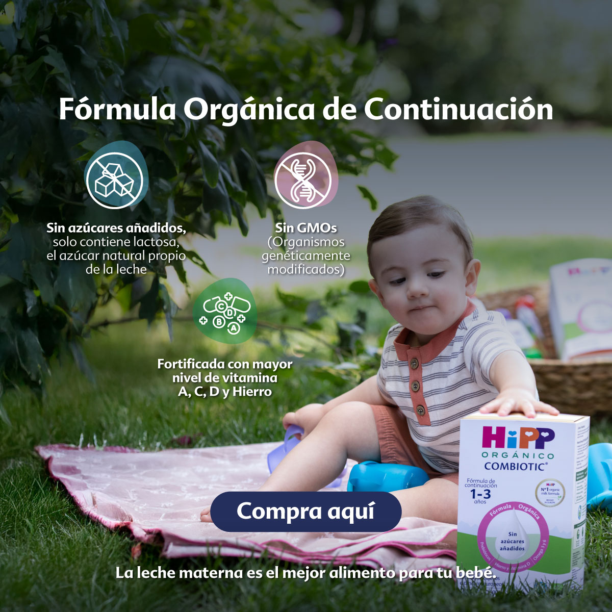 HiPP México Facebook ad