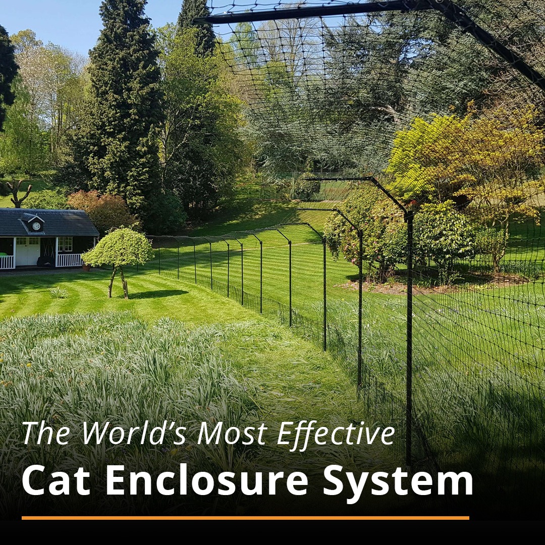 Purrfect Fence Facebook ad: 5-star review: I have a pride (7 cats!)…