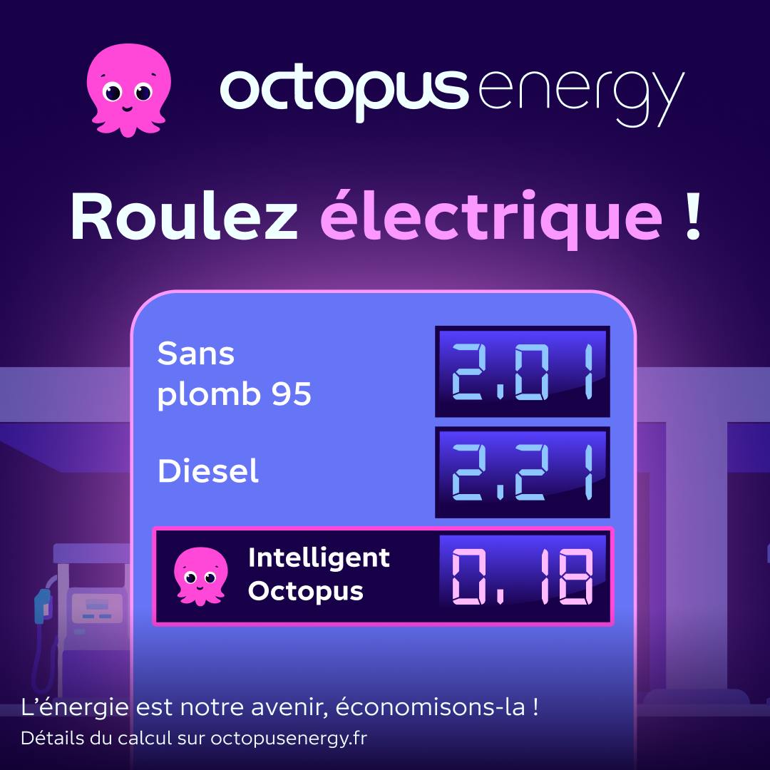Octopus Energy Facebook ad