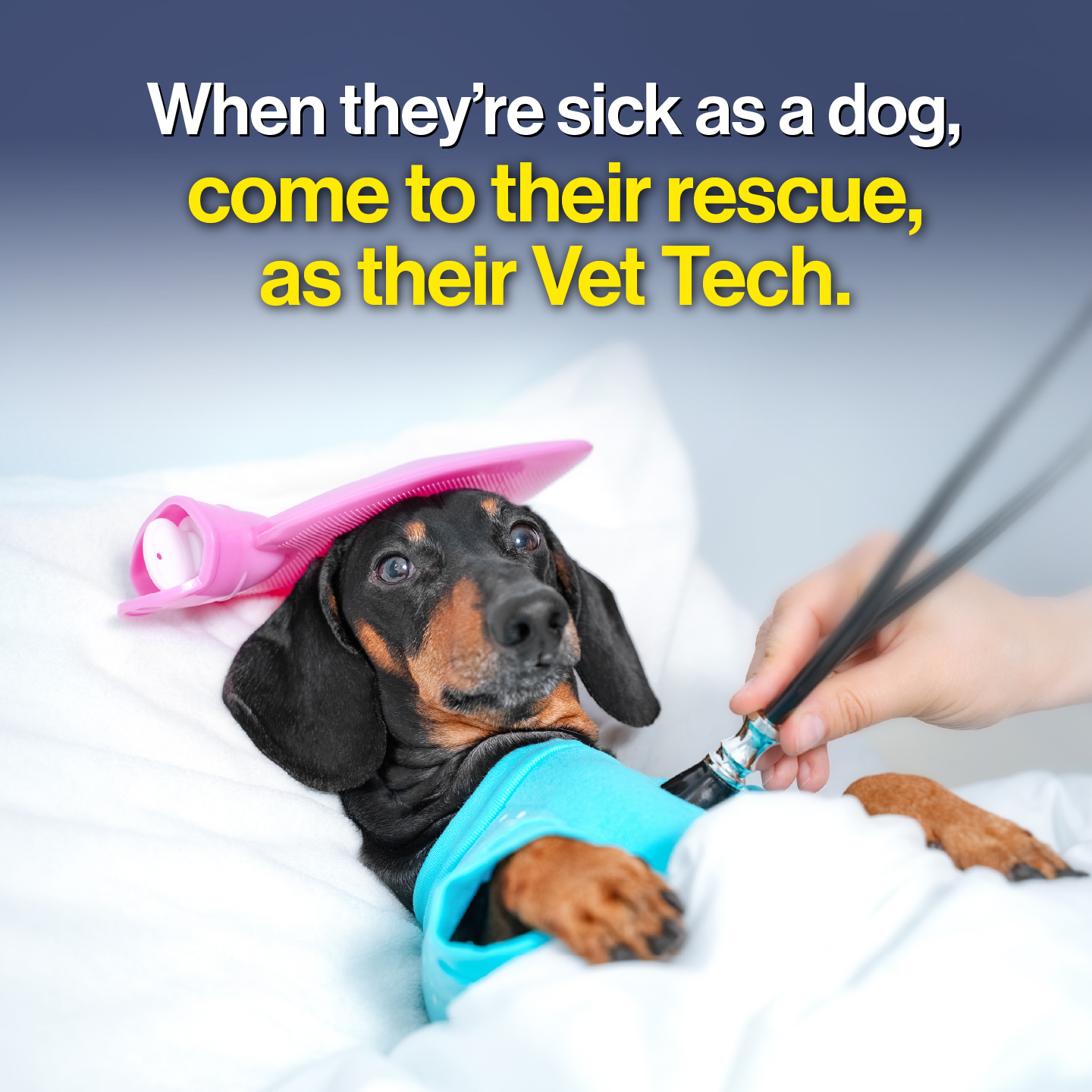 Penn Foster Facebook ad
