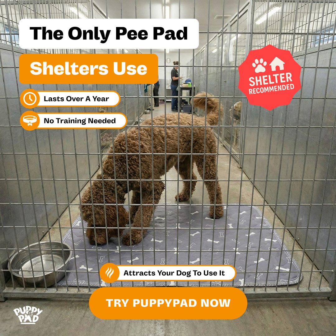 PuppyPad Facebook ad