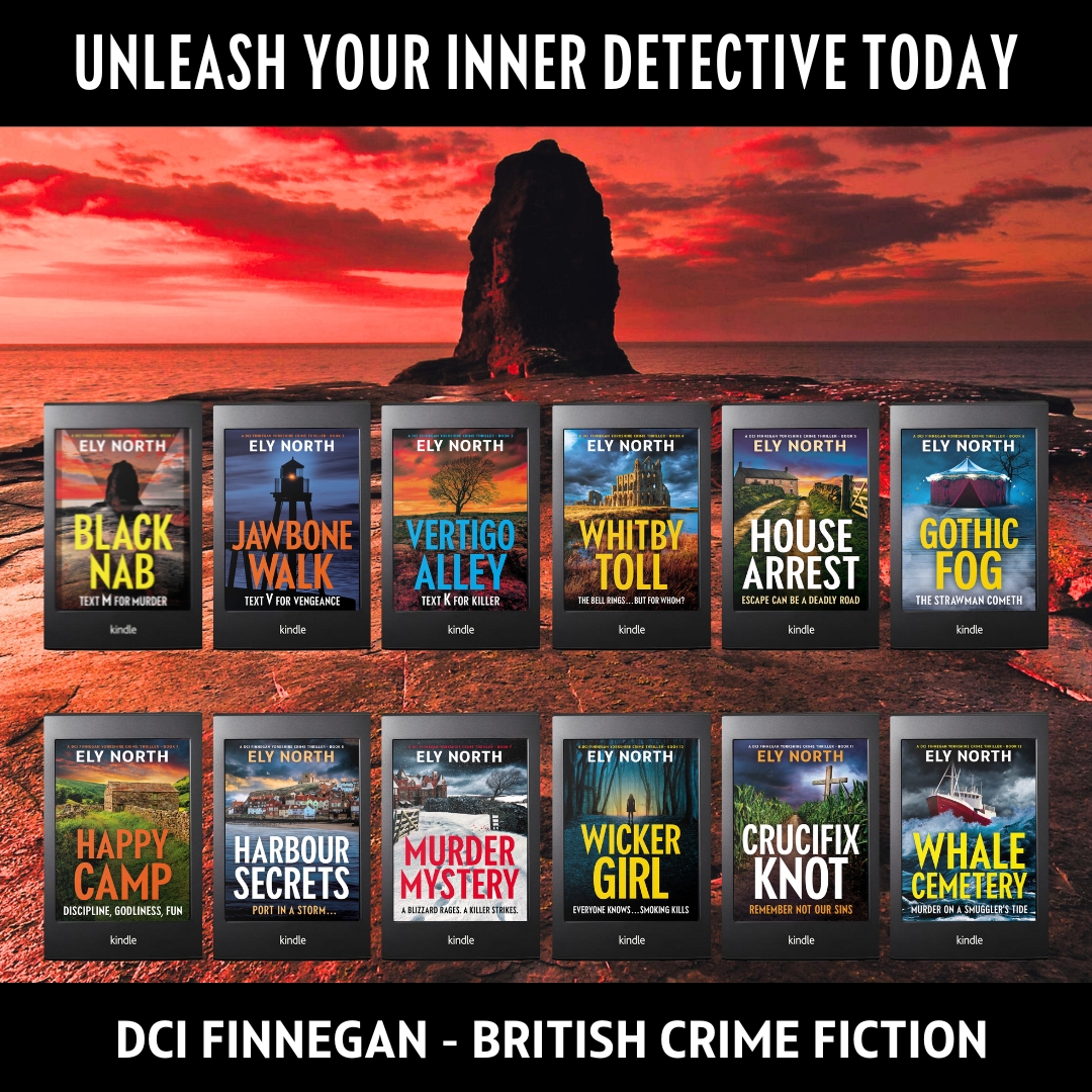 Ely North Crime Fiction Facebook ad: UNPUTDOWNABLE PAGE TURNERS