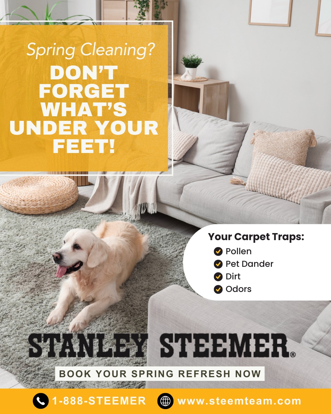 Stanley Steemer Facebook ad