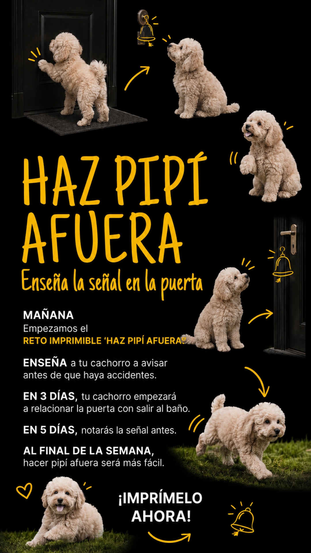Ben Your Puppy Trainer Facebook ad