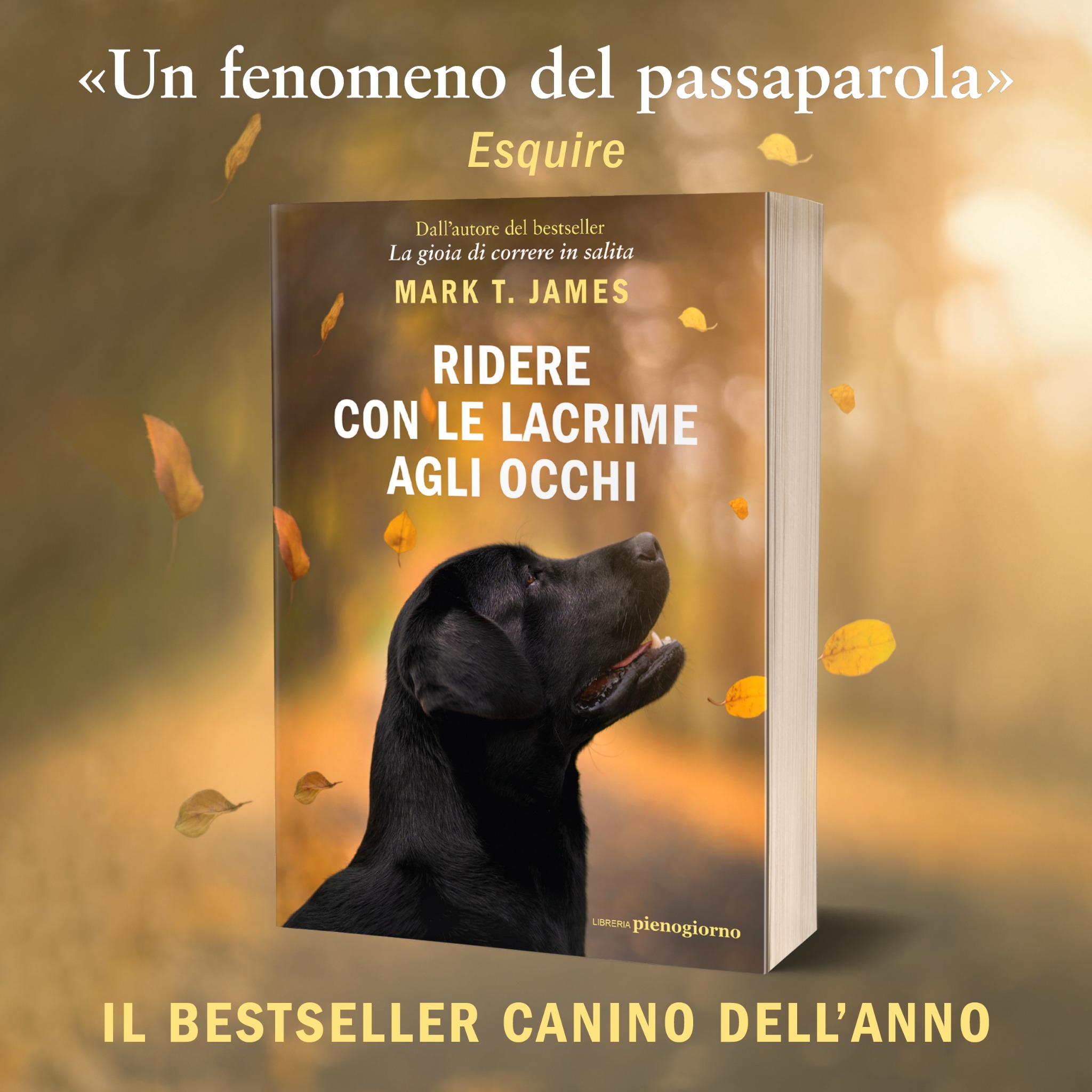 Ridere con le lacrime agli occhi - Il libro Facebook ad