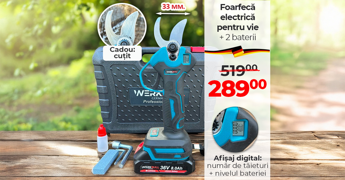 Traista-ro Facebook ad