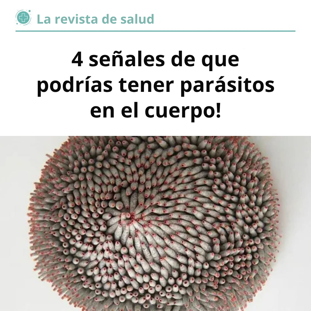 The Health Corner Facebook ad: Ivermectina y Fenbendazol