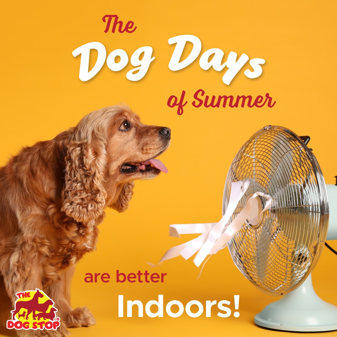 The Dog Stop - Sherwood, OR Facebook ad