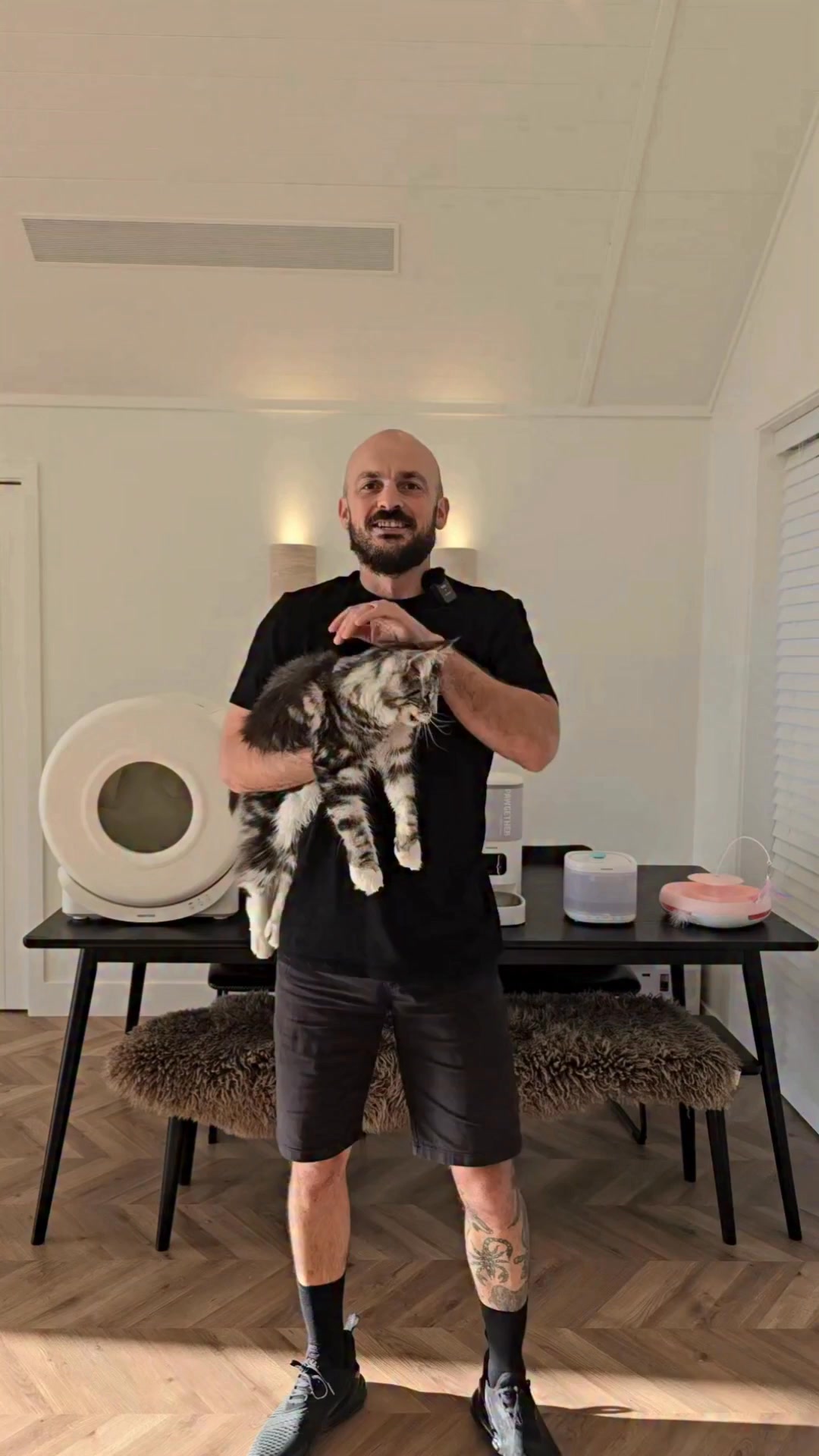 pawtechnz Facebook ad: Finally Go Away Without Worrying About Your Cat