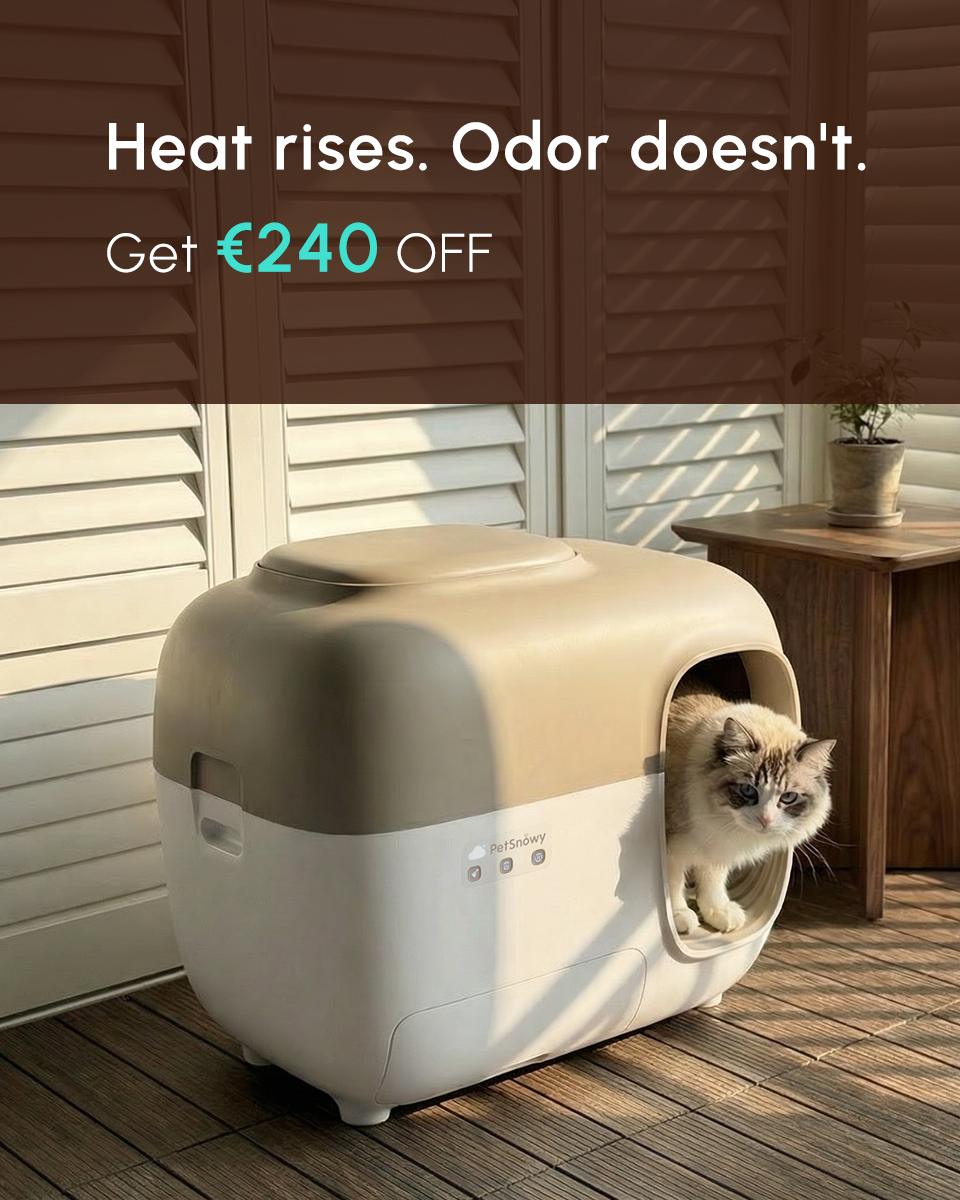 PetSnowy Facebook ad