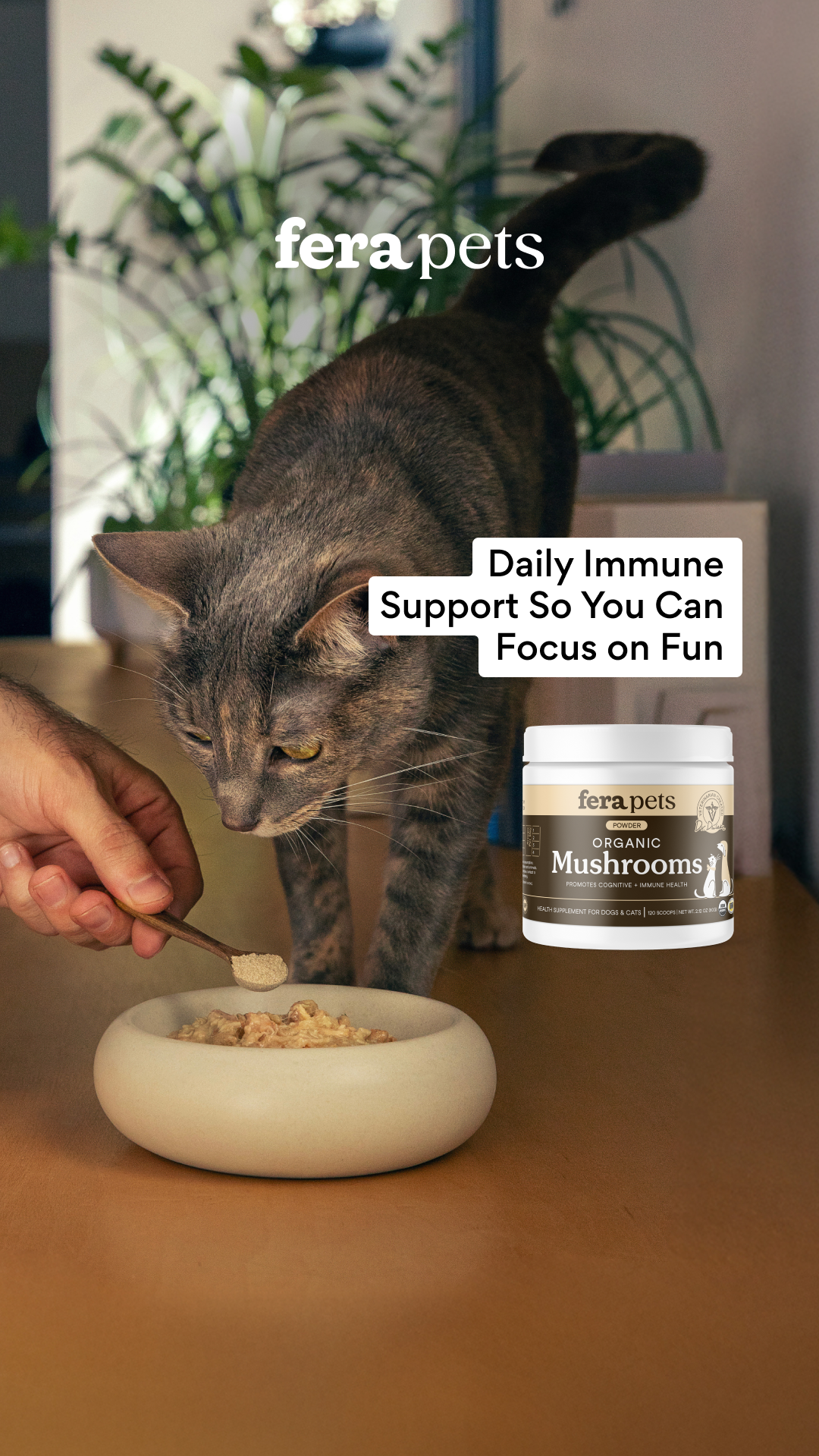 Fera Pets Facebook ad