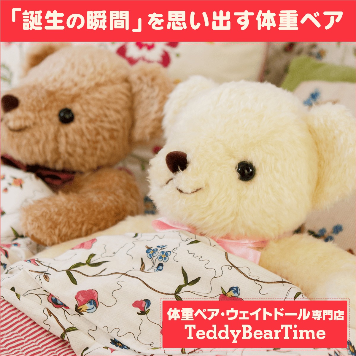 体重ベア・ウェイトドール専門店「テディベアタイム」 Facebook ad