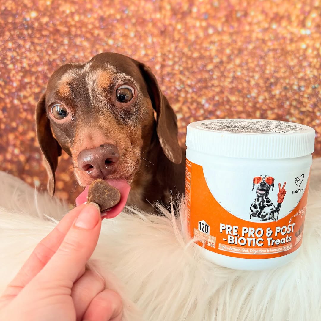 Nutri Paw Facebook ad