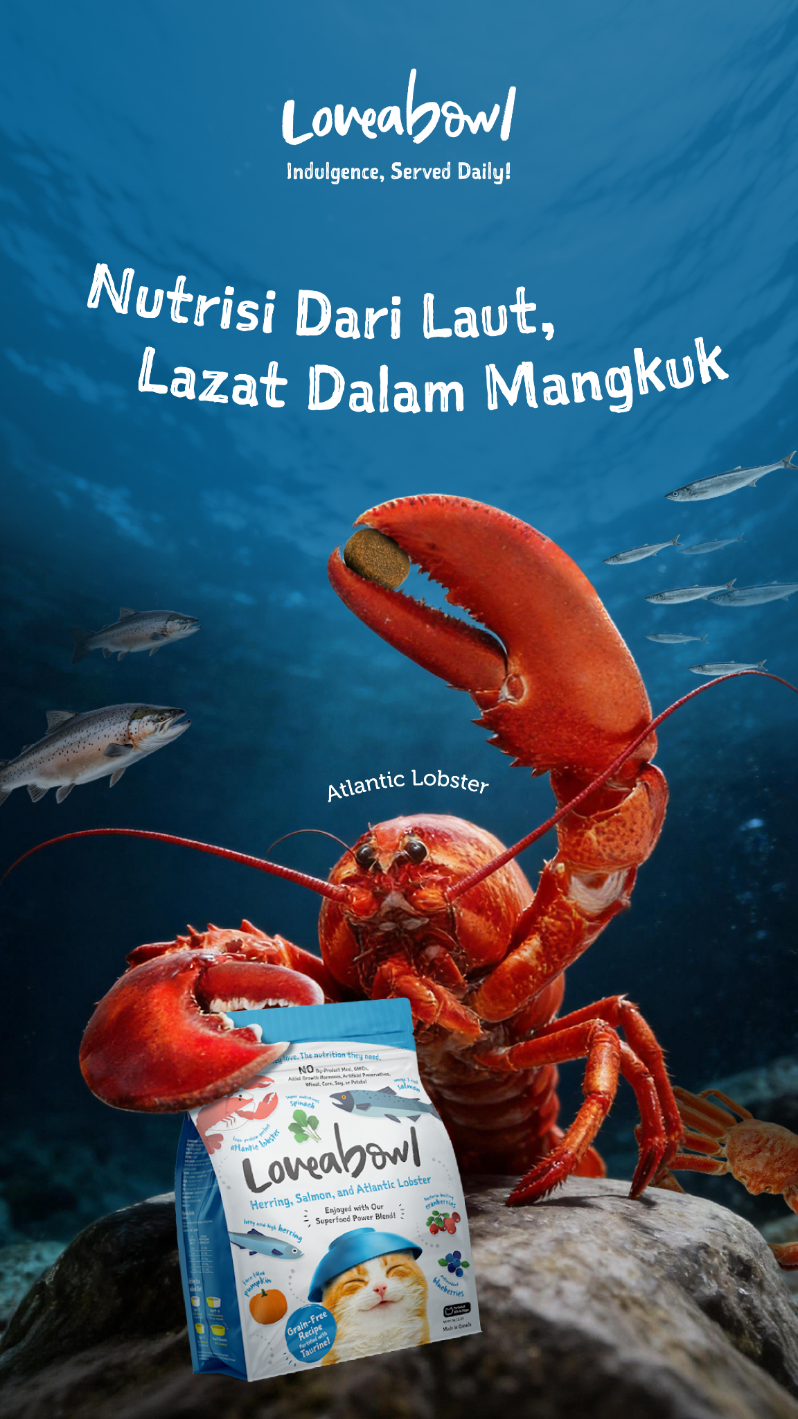 Loveabowl Pet Food Malaysia Facebook ad: Setiap hidangan bukan sekadar makanan, ia tanda kasih…