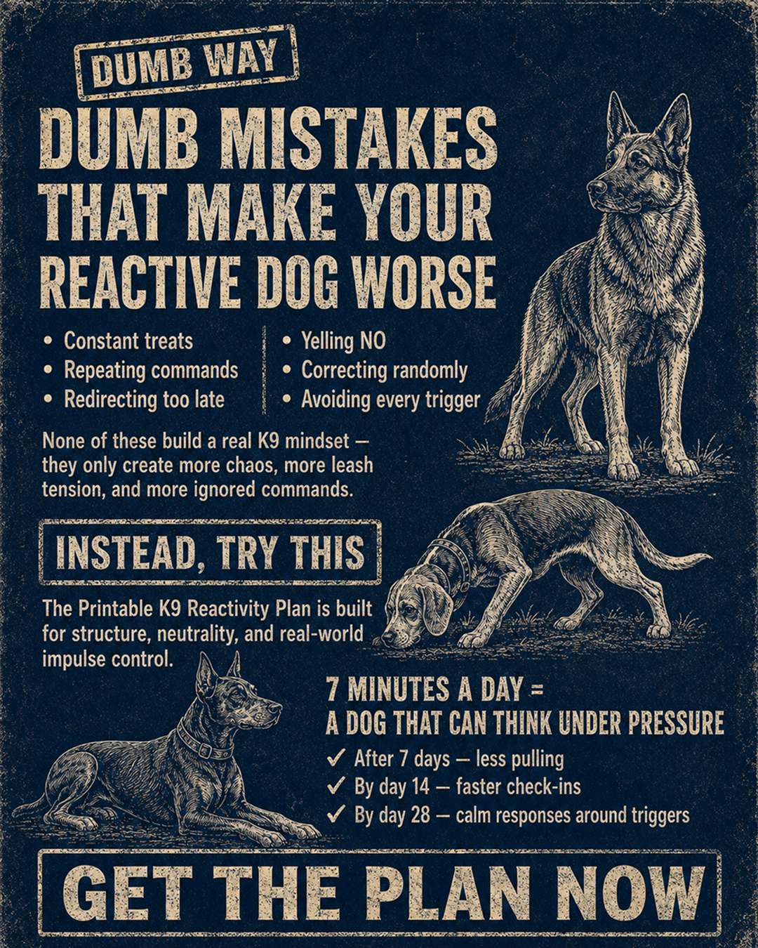 1st Dog Training Club Facebook ad