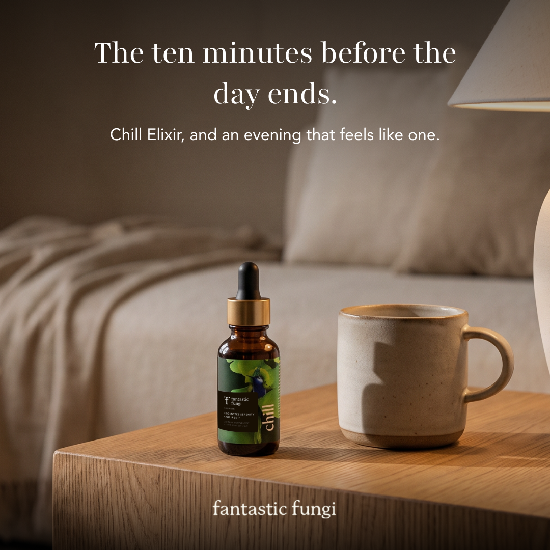 Fantastic Fungi Facebook ad