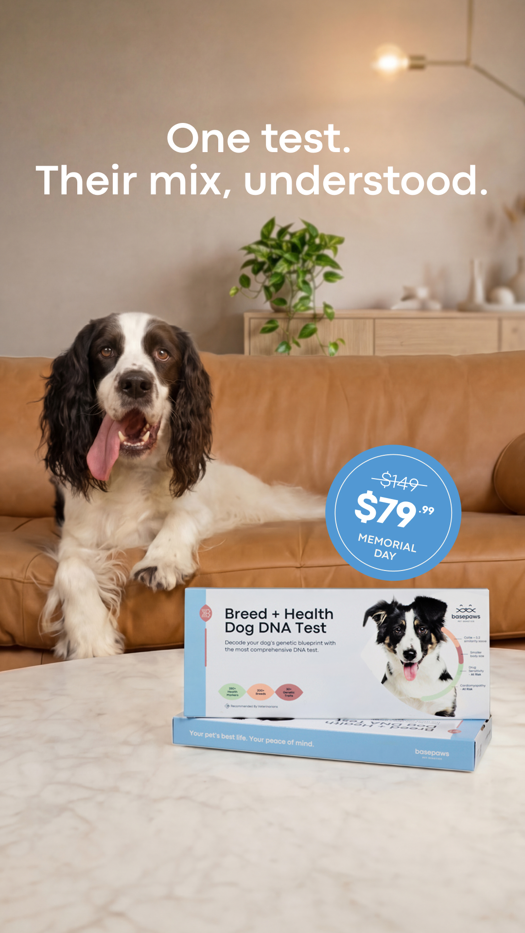 Basepaws Facebook ad from May 21, 2026