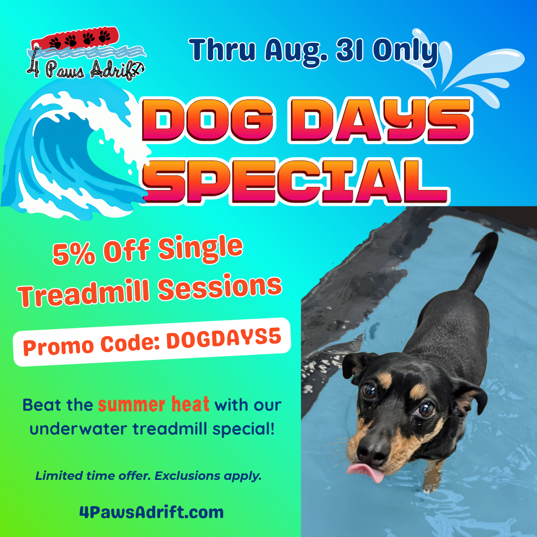 4 Paws Adrift Facebook ad