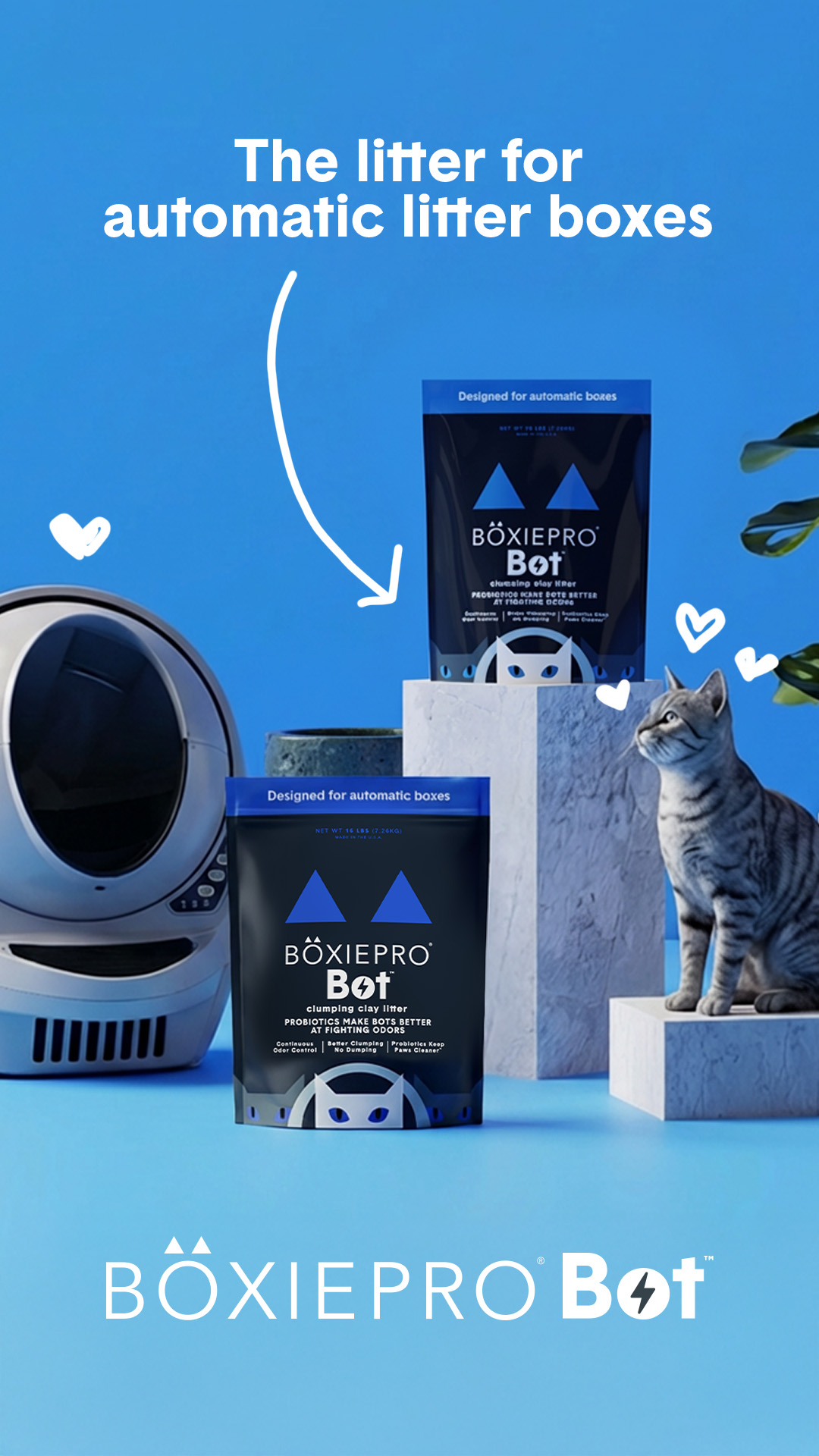 Boxiecat Facebook ad