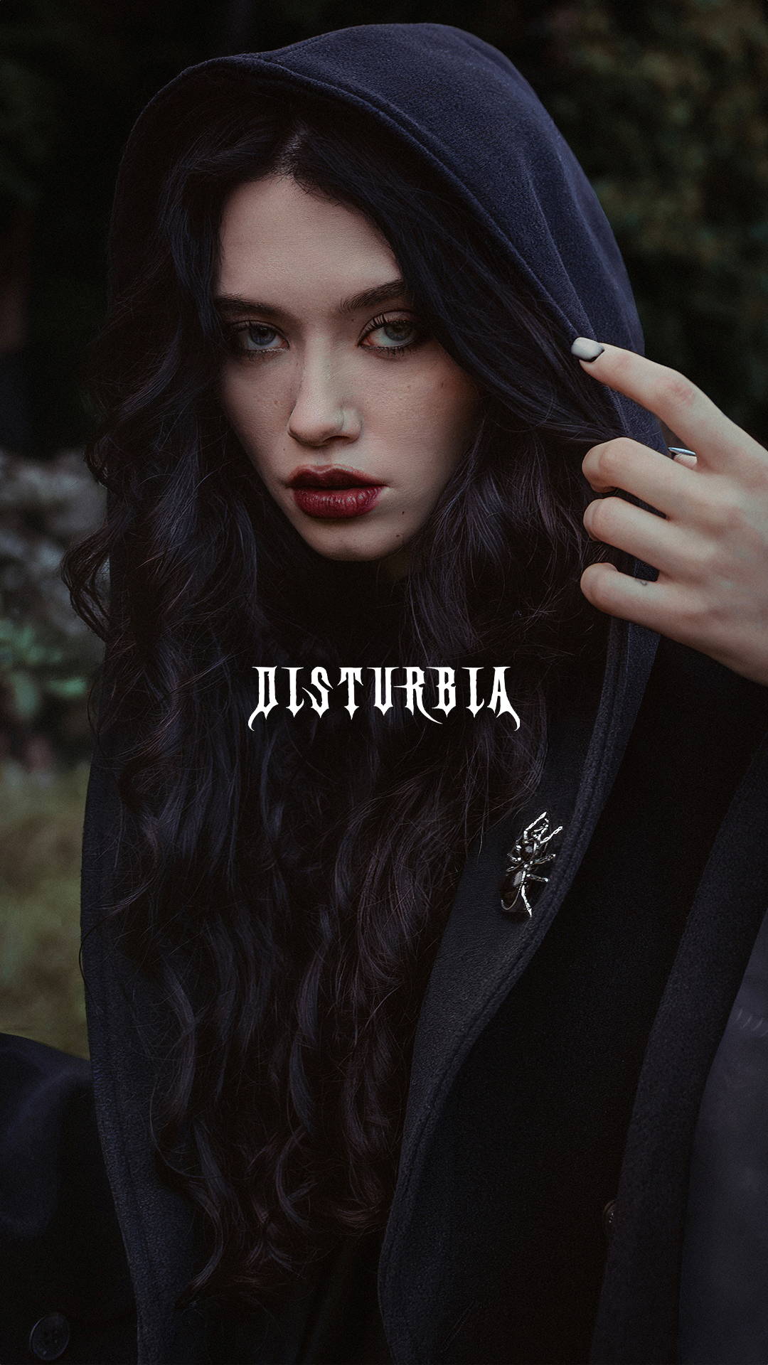 Disturbia Facebook ad