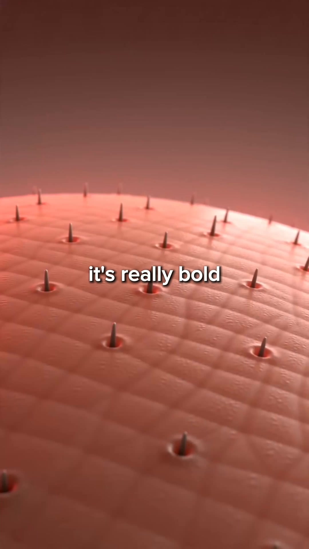 Blueprint Longevity Facebook ad: Reverse hair loss in 16 weeks.