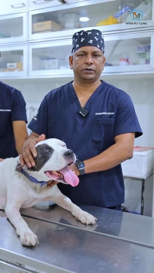 Myra Pet Clinic & Surgery Centre Facebook ad: Understanding Cataracts Begins With The Right Evaluation.