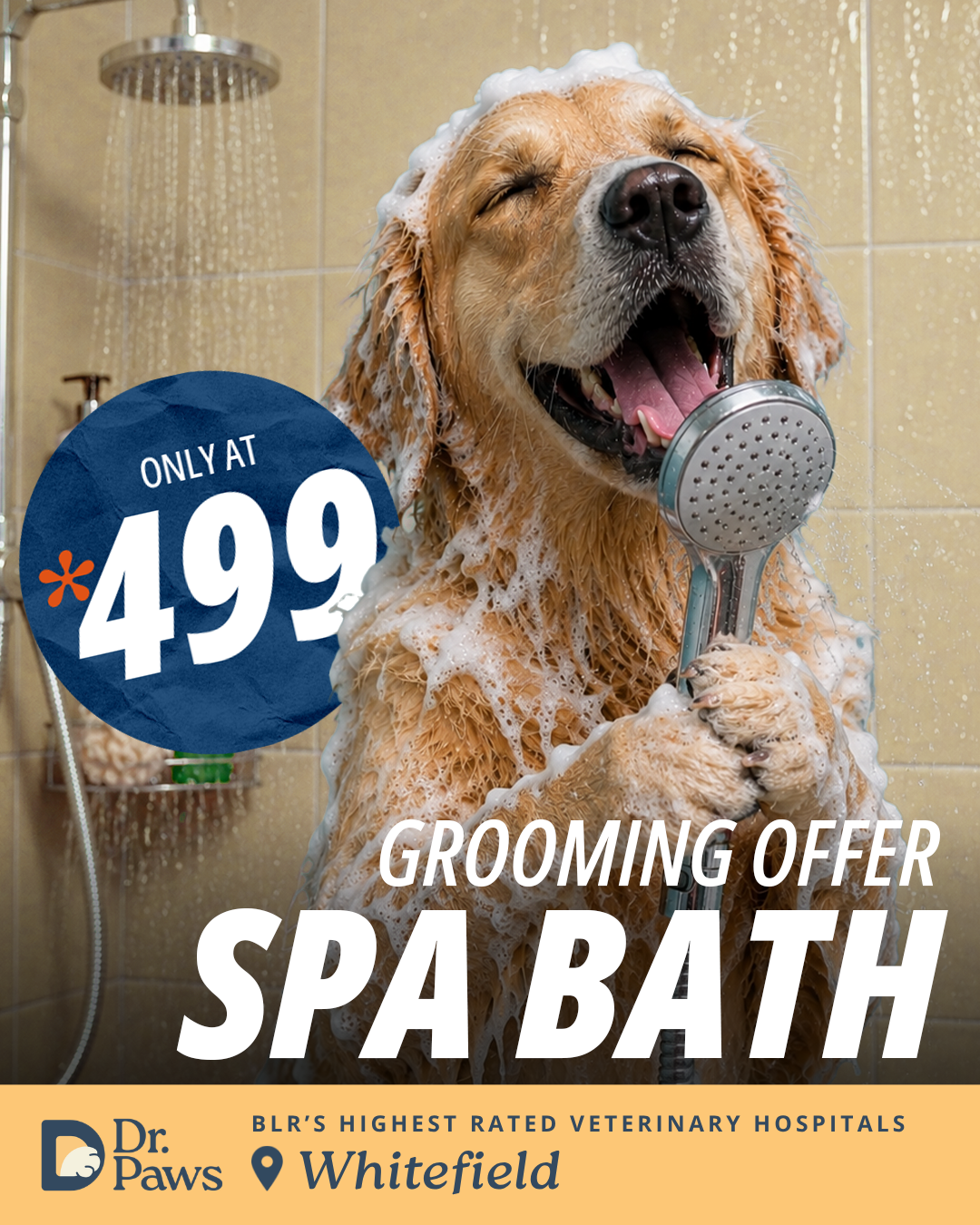 Dr Paws Facebook ad