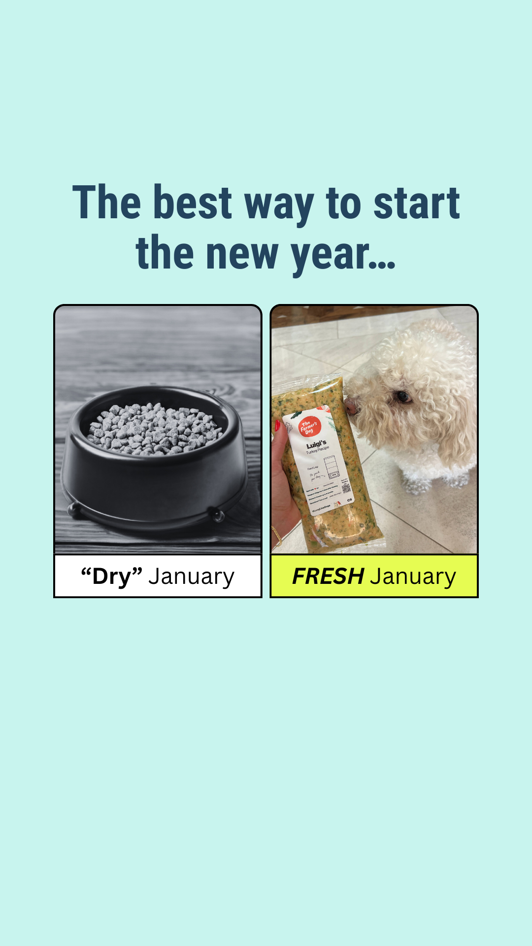 Rounds Of A Paws Facebook ad