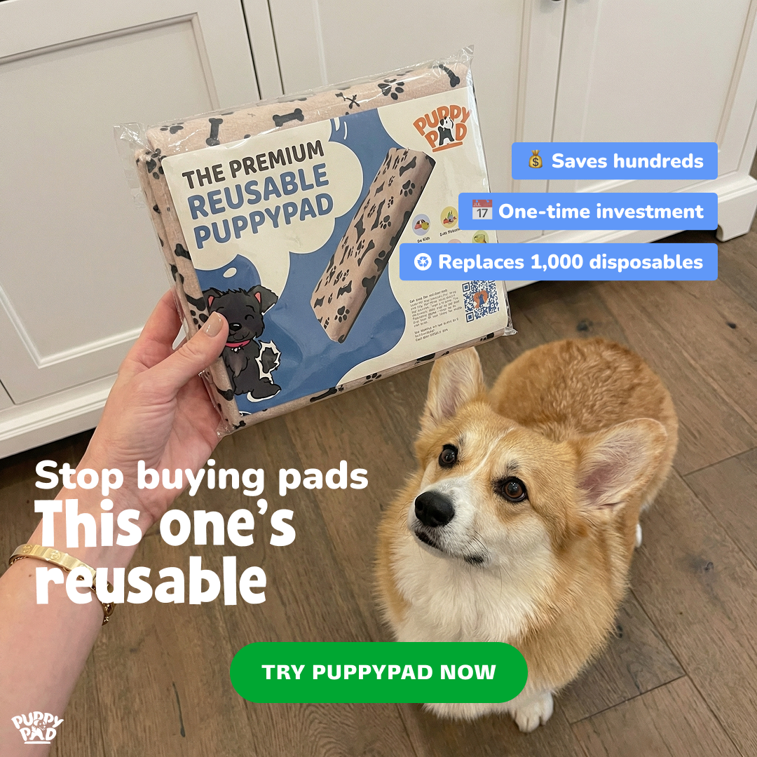 PuppyPad Facebook ad