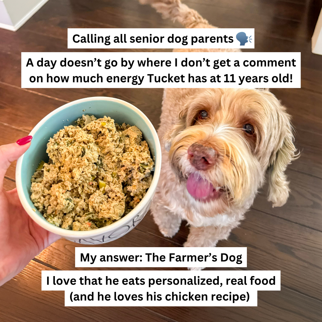 Rounds Of A Paws Facebook ad
