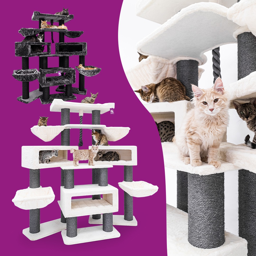 petrebels.com Facebook ad