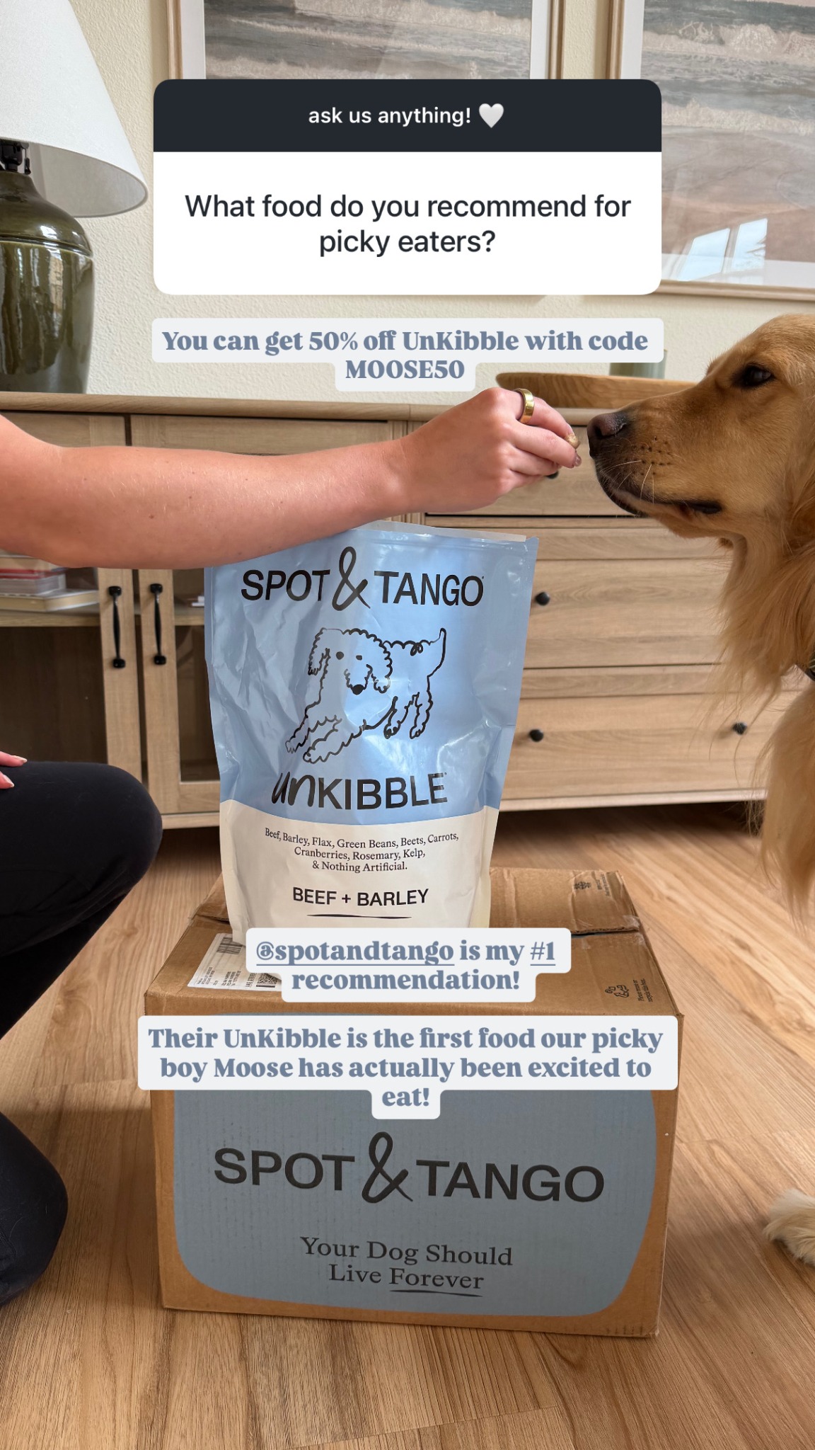 Moose the Golden Facebook ad