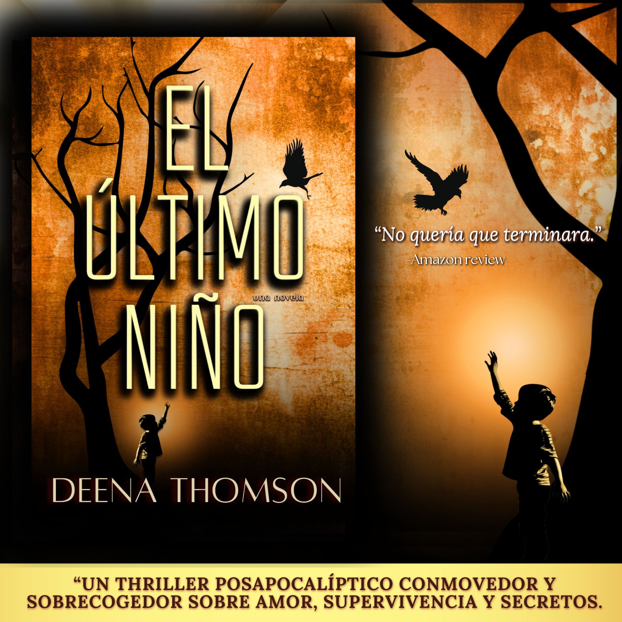 Deena Thomson - Author Facebook ad