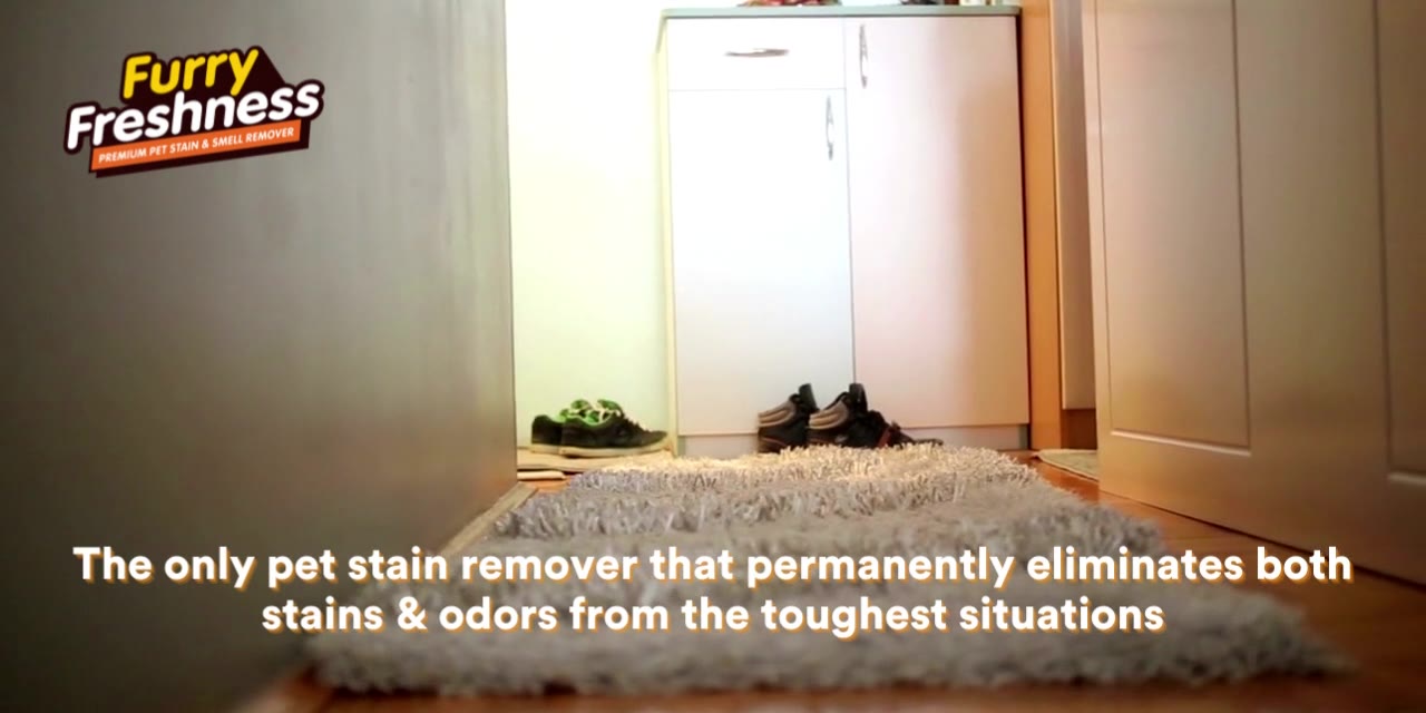 FurryFreshness Facebook ad: Permanently Removes Pet Stains and Odors!