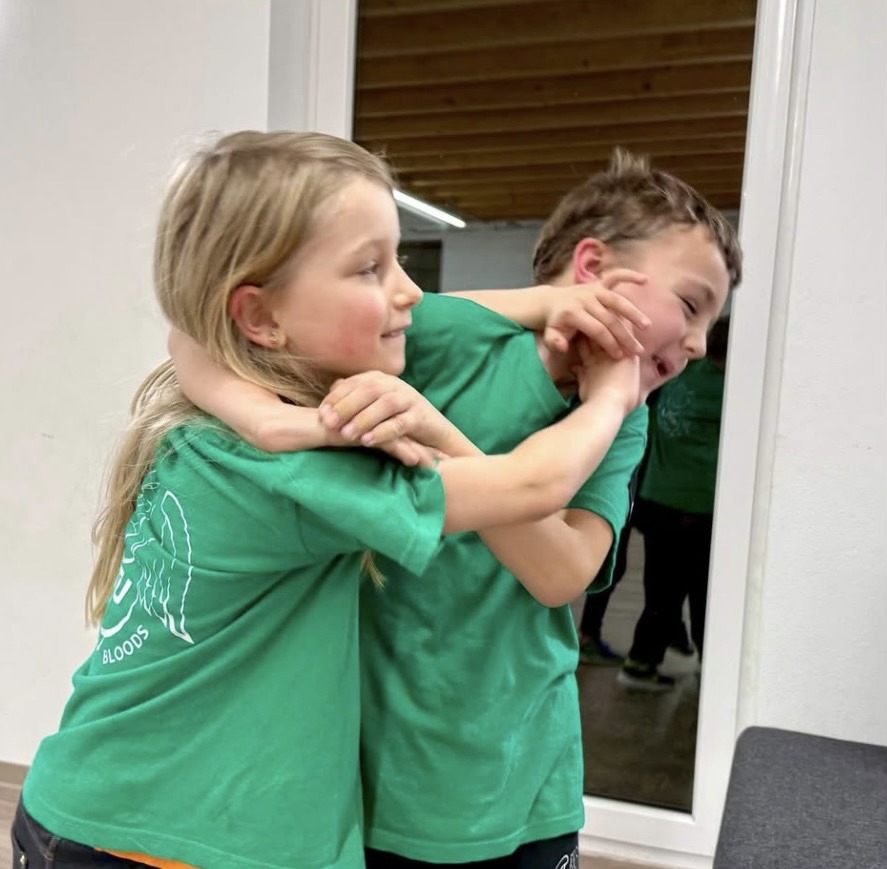 WTU  Loge Vöcklabruck - Wing Tsun Universe Facebook ad
