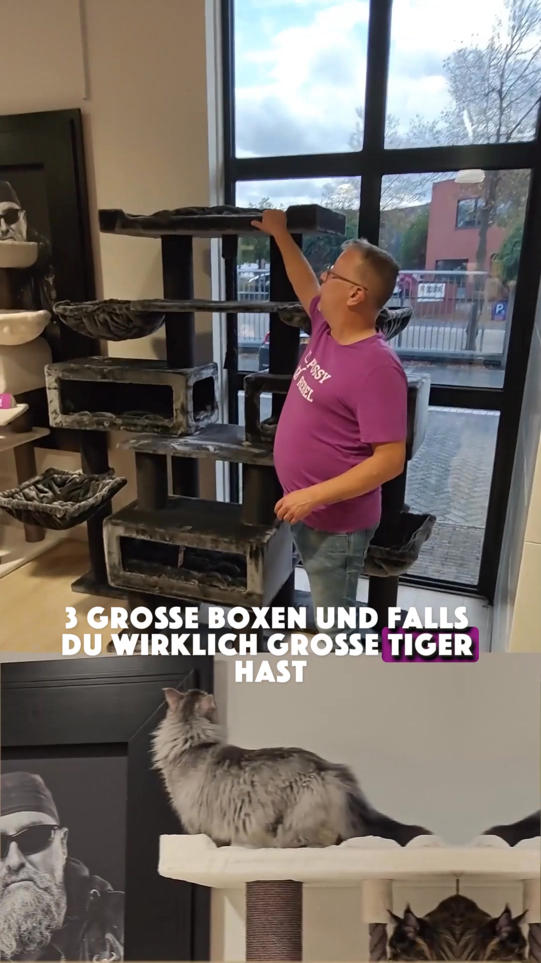 petrebels.com Facebook ad: XXL Katzenparadies