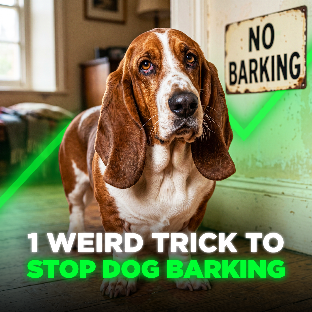 Mike James Dog Training Facebook ad