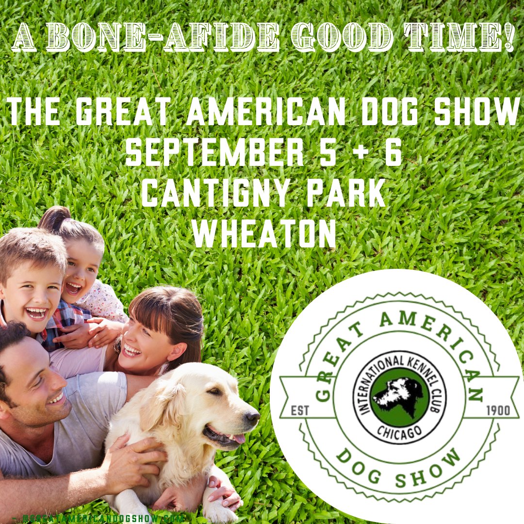 Great American Dog Show Facebook ad