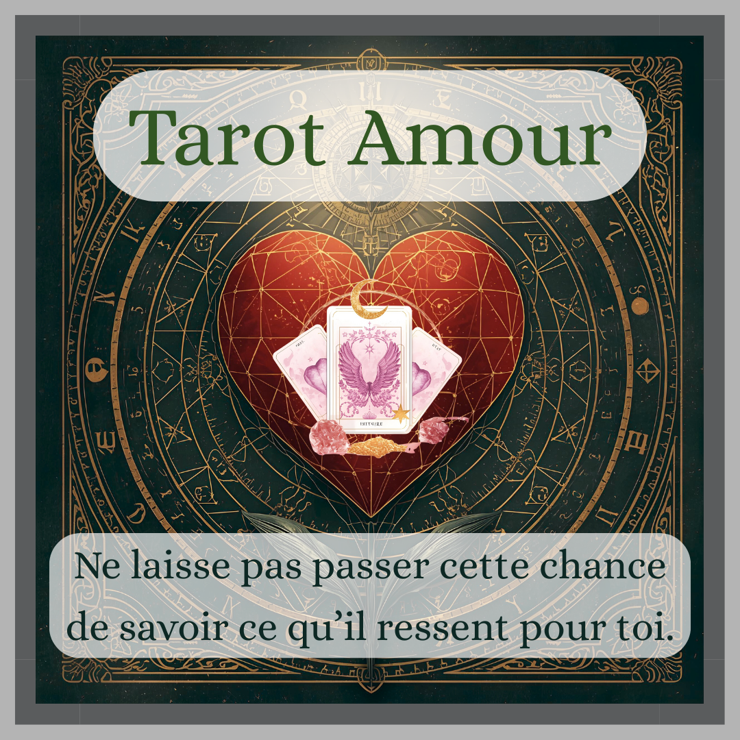 Voyance Delphine Facebook ad