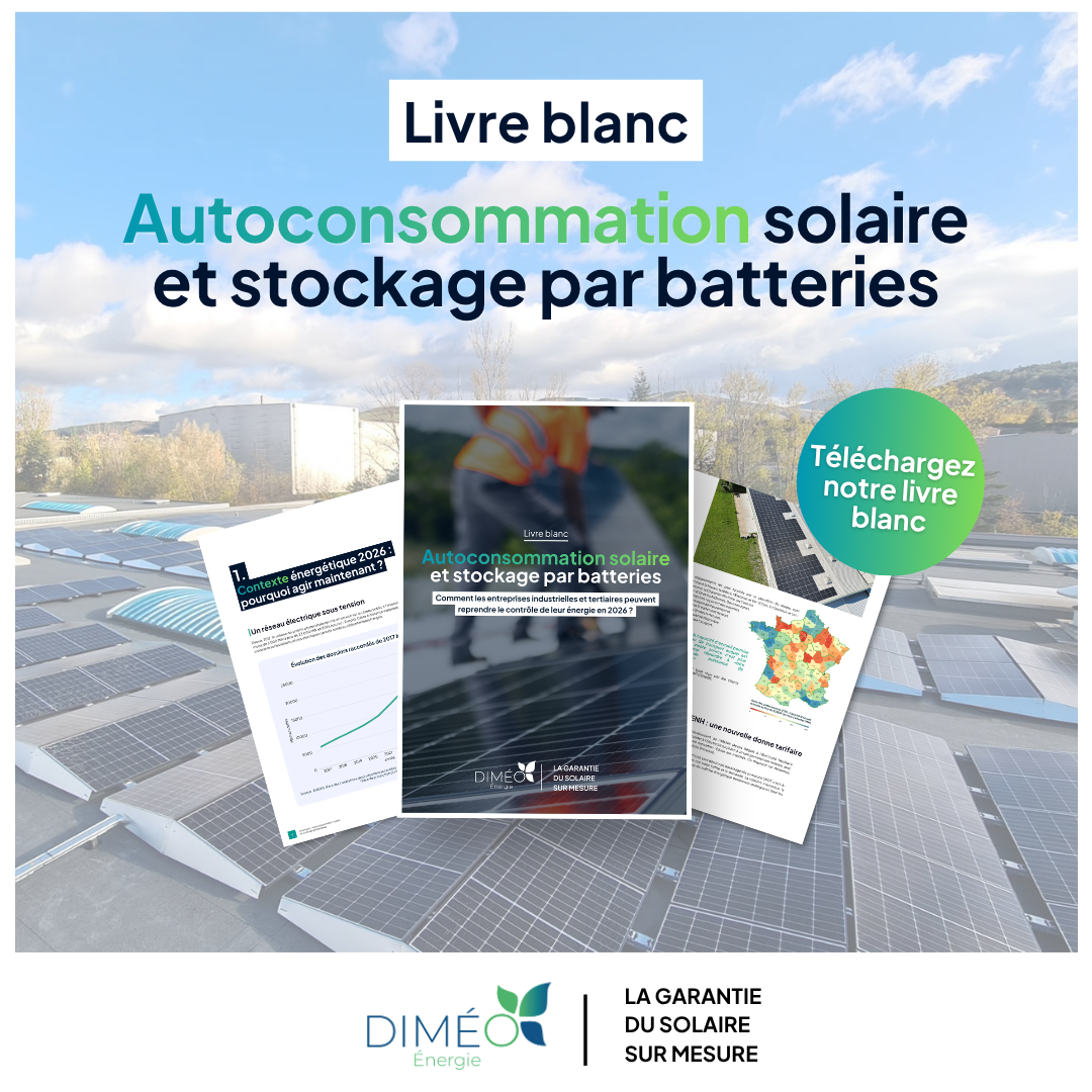 Diméo Energie Facebook ad: Téléchargez le livre blanc complet.