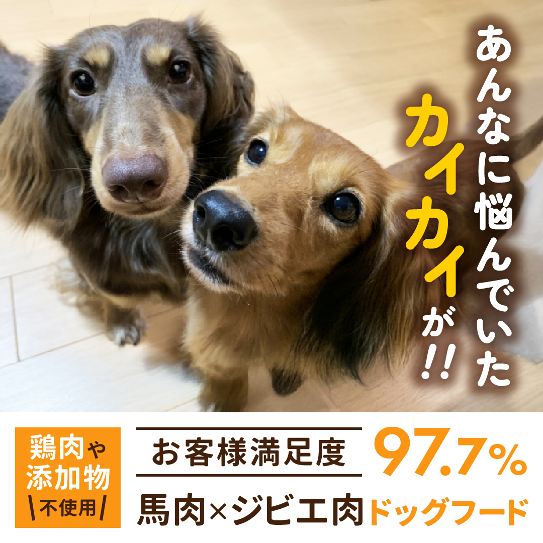 健康いぬ生活 Facebook ad
