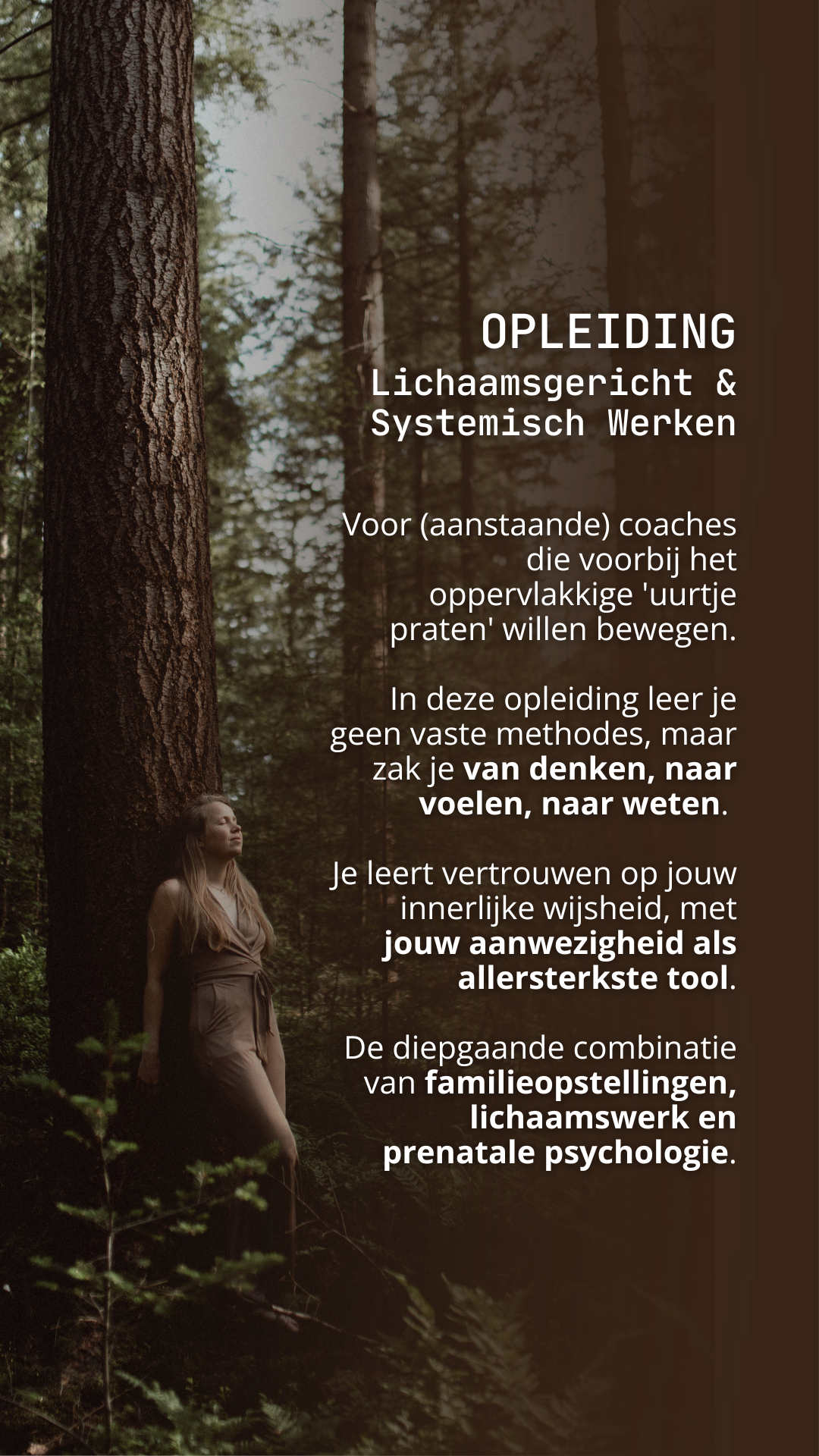 Lisa de Kruijf - Familieopstellingen, kampen & therapie Facebook ad: Opleiding Lichaamsgericht & Systemisch Werken