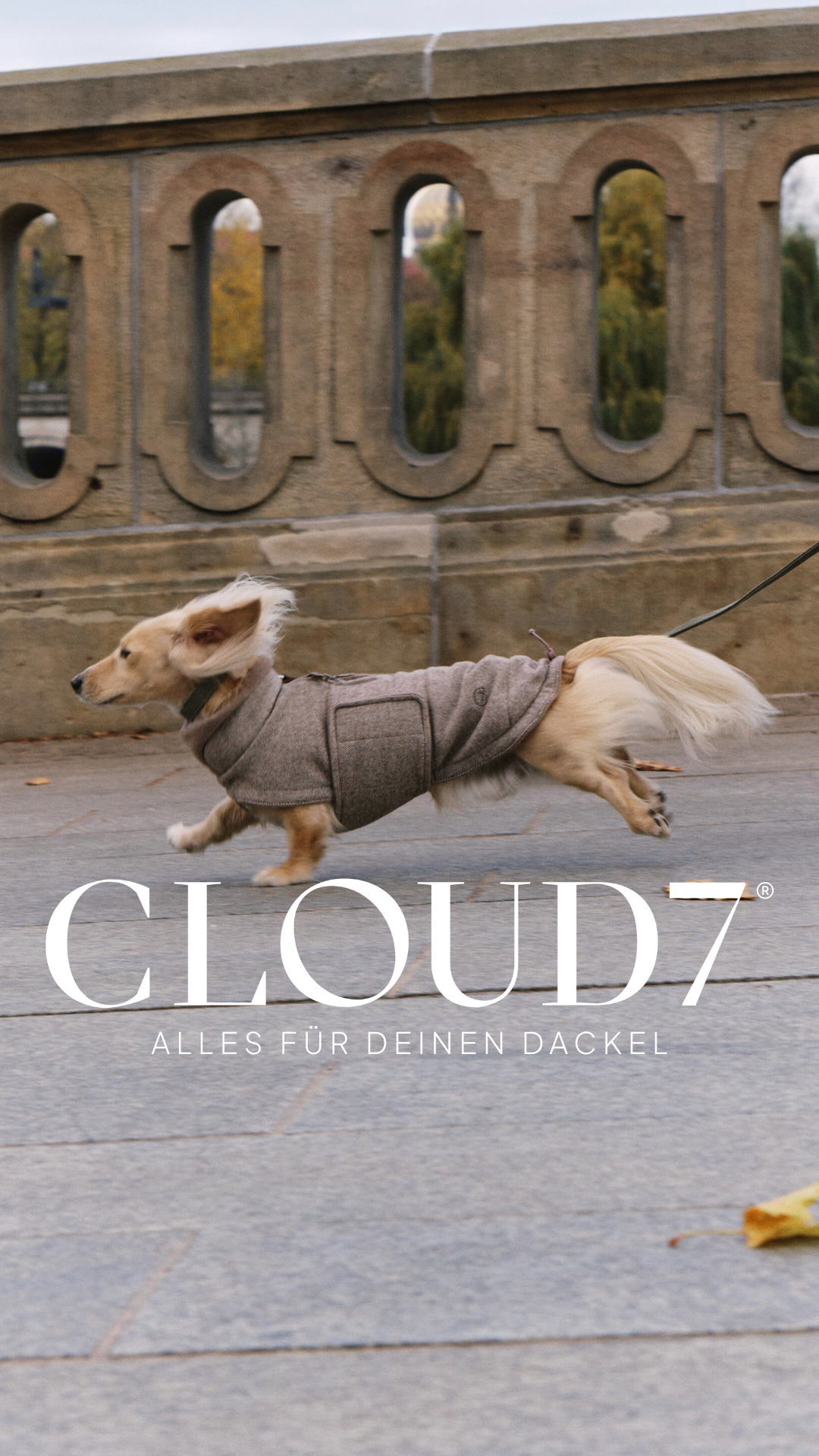 Cloud7 Facebook ad